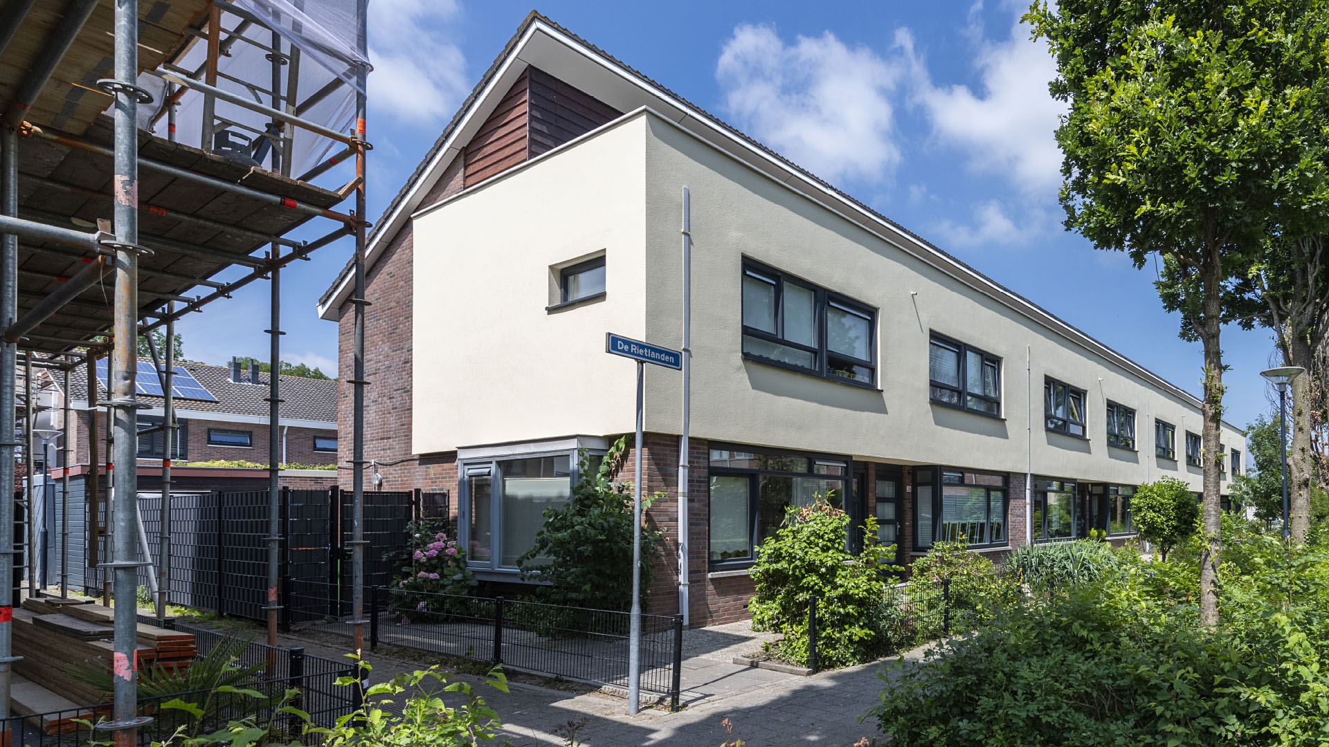 Willems fotografie rietlanden